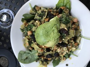 tin-shed-garden-cafe-portland-vegan