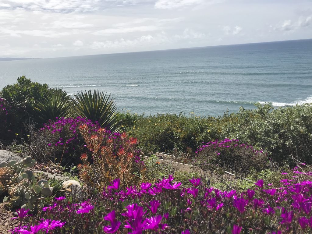 Yogananda and Encinitas