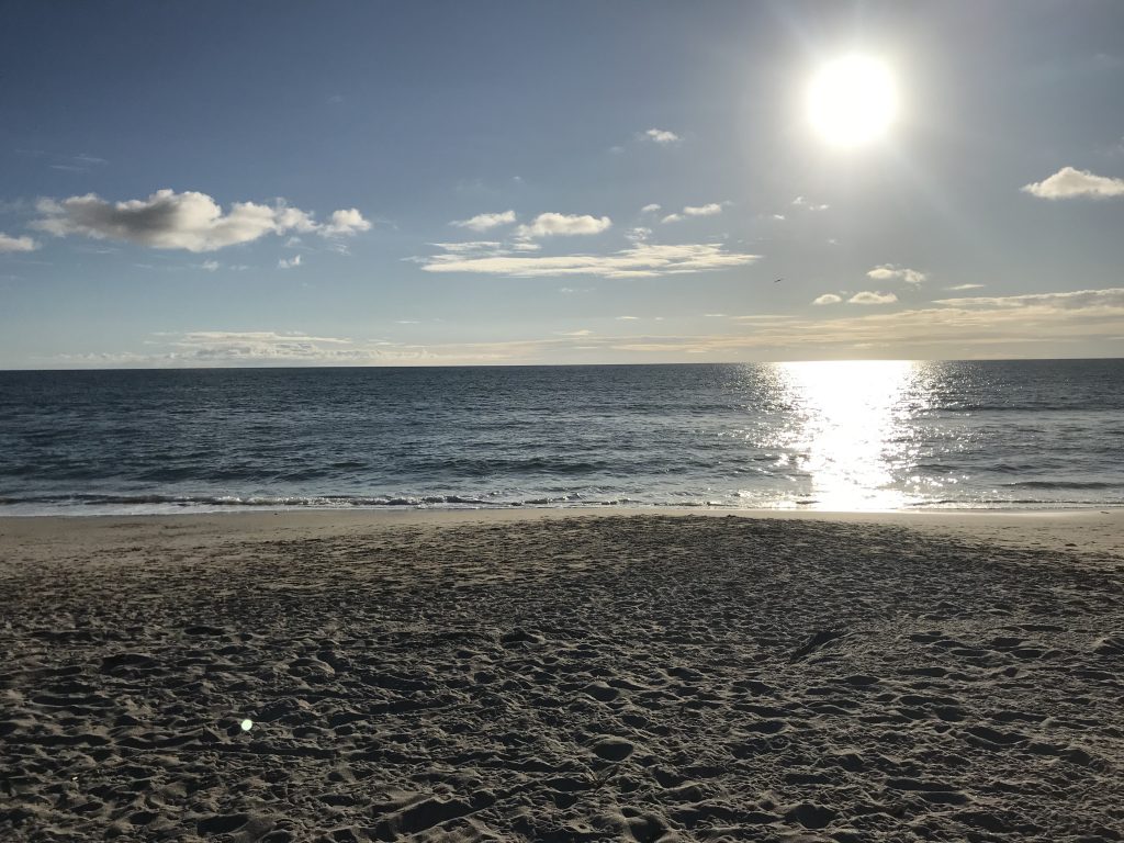 Carlsbad Ocean Views