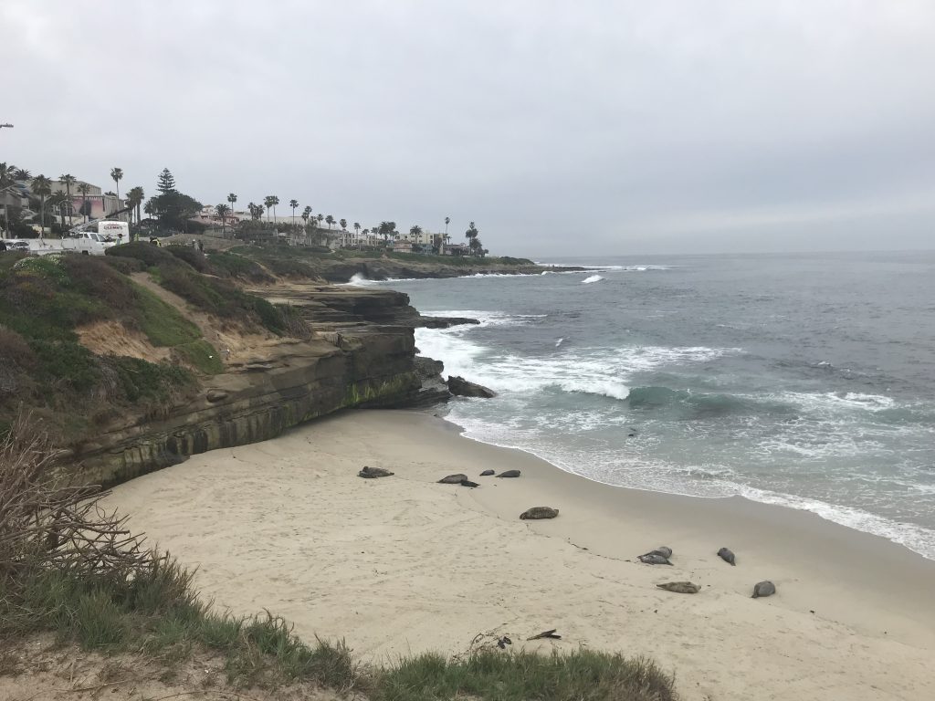 La Jolla Children's Pool